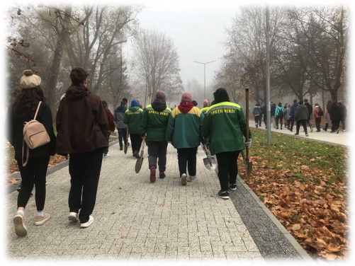 Plantare a arborilor din municipiul Chisinau